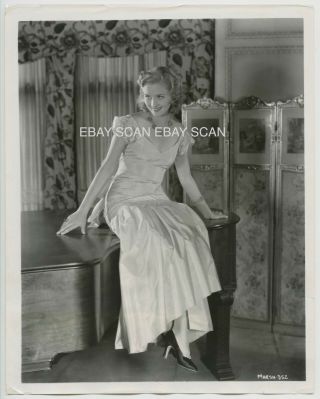 Marian Marsh Gorgeous Vintage Portrait Photo