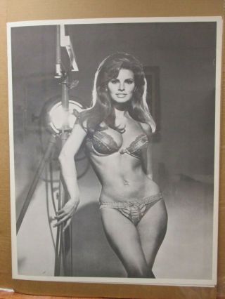 Rachel Welch Hot Girl Black And White Vintage Poster 1970 