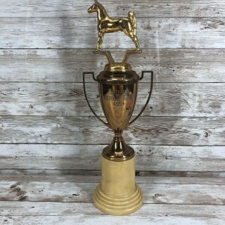 1954 Vintage Sebree Horse Show Trophy 13” Tall Brass Cup Bakelite Base