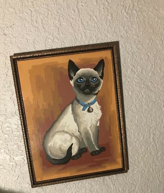 Vintage Mid Century Modern Paint By Number Framed - Siamese Cat 3