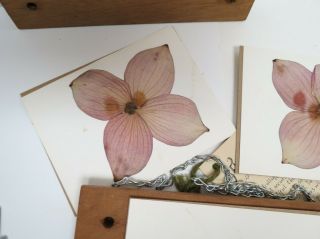 1980’s Vintage Wood Leaf & Flower Press With Cardboard Inserts Craft Set Garden