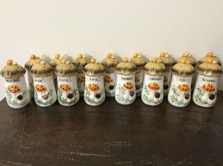 Merry Mushroom Sears Roebuck Spice Salt Pepper 16 Set Shakers Vintage Japan 1976