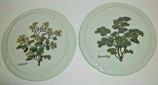 Vintage Andrea By Sadek Ceramic Stoneware Trivet Set Of 2 Parsley & Mustard