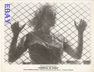 Carnival Of Souls Woman Stands Behind A Fence Vintage Photo