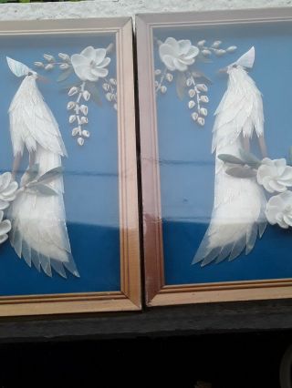 Pair Vintage Seashell Peacock Wall Art Mid - Century Modern Shadow Box 3d Framed