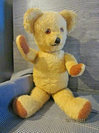 Antique Teddy Bear Golden Mohair Jointed - Vintage Bears Old Toys W/ Growler