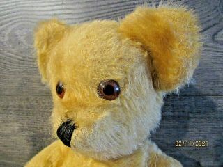 Antique teddy bear golden mohair jointed - vintage bears old toys w/ growler 2