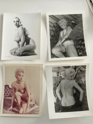 4 Vintage Photo 4x5 Prints - Pinup Busty Nude Model 1950 - 60’s
