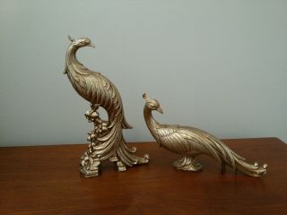 Pair - Vintage Syroco Peacock Statues - Gold - Hollywood - Mid Century