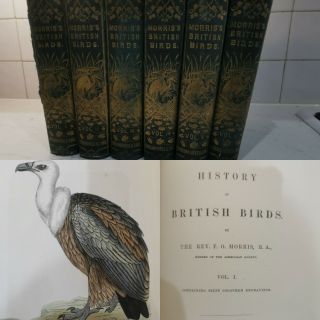 1865 A History Of British Birds By F.  O.  Morris 6vol Hand Coloured Plates