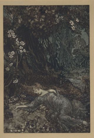 Arthur Rackham Midsummer - Night ' s Dream 1908 first edition Shakespeare Heinemann 3