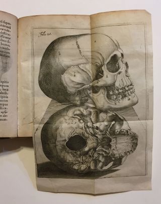 Petrus Paaw / Primitiae anatomicae de humani corporis ossibus BOUND 1st ed 1616 4