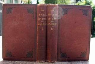 1871 Descent Of Man Charles Darwin First American Edition Origin Species