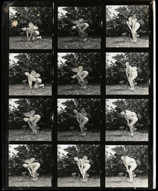 1960 Bunny Yeager Pin - Up Contact Sheet 12 Frames Nani Maka Butterfly Costume Nr