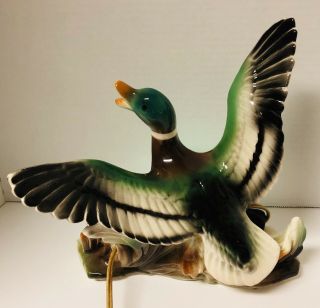 Ceramic Mallard Duck Circa 1950 