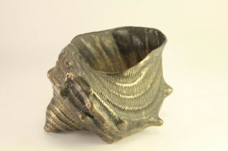 Vtg Solid Brass Conch Sea - Shell Planter Flower Pot Sculpture Vase W/ Patina
