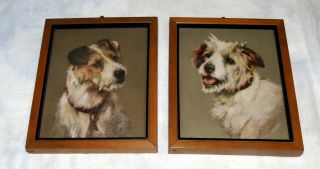 Vintage Framed Wire Haired Fox Terrier Dog Print Set Of 2