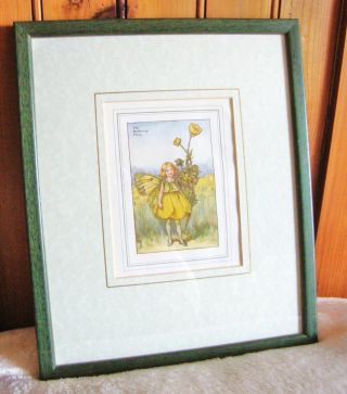 Vintage Flower Fairies Framed Print - The Buttercup Fairy - Good
