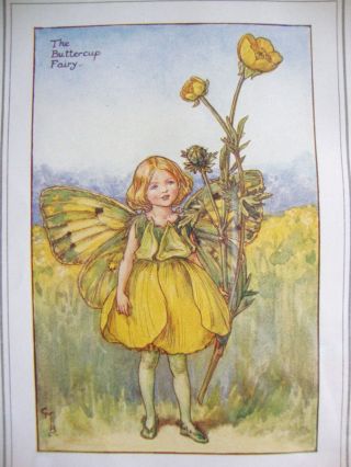 Vintage Flower Fairies Framed Print - The Buttercup Fairy - Good 2