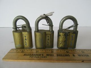 (3) Vintage Gold Yale Padlocks W/ (5) Keys (work)