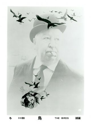 Alfred Hitchcock " Les Oiseaux " (the Birds) Japanese Vintage Photo Cp