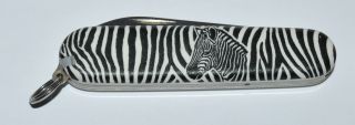 Vintage Victorinox Officier Suisse Zebra Motif Kruger Park South Africa Knife 2