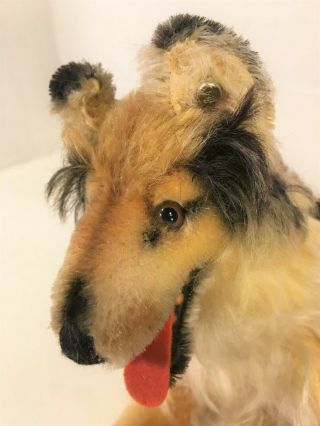 Vintage Steiff Mohair Collie Dog With Ear Tag 12 Inches Long Made In Germany