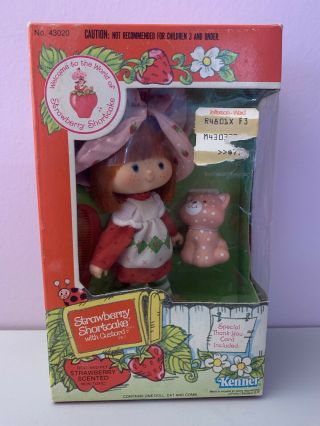 Strawberry Shortcake With Custard Doll
