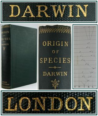 1897 Charles Darwin Origin Of Species 6th Edition Evolution John Murray Cloth Vg
