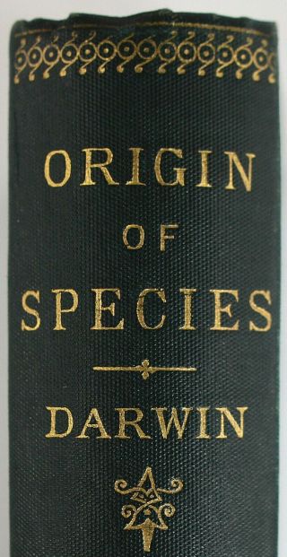 1897 CHARLES DARWIN ORIGIN OF SPECIES 6th EDITION EVOLUTION JOHN MURRAY CLOTH VG 3