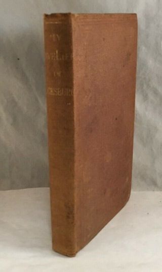 Civil War Book My Cave Life In Vicksburg By A Lady Loughborough 1864 Biography