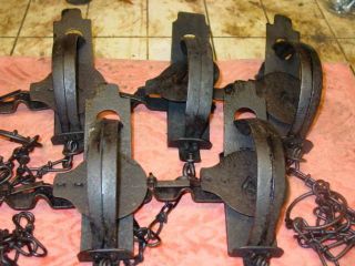 5 Good 3 Oneida Jump Traps Trap,  Traps,  Trapping,