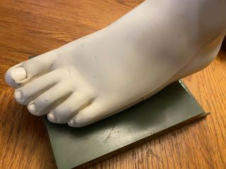 Merck Sharp & Dohml Indocin Foot Anatomical Model Vintage Feet Toes Parts