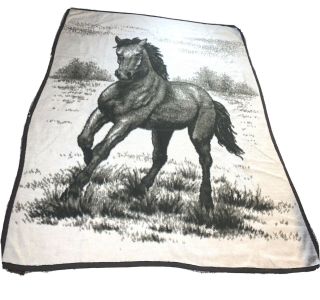 Vintage Ibena Relax Dolan Reverse Horse Blanket Approx 79” X 57” Made In Germany