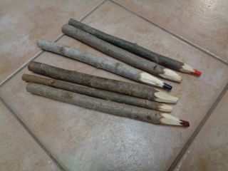 Set Of 6 Branch Twig Colored Pencils 10 - 10 - 2/ " Long Rustic Unusual D3