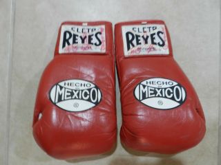 Rosendo Alvarez Fight Issued Back Up Pair Boxing Gloves Cleto Reyes 8oz