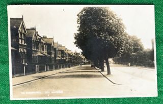 Woodford Shrubberies Redbridge London Essex Rp Vintage Postcard