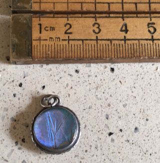 Pretty Vintage Butterfly Wing And Silver Pendant,  Vintage Silver Pendant