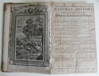 1780s System Of Natural History By George Millar Antique Folio In English