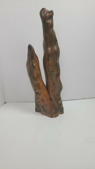 Vintage Cypress Wood Knee Root Driftwood Mid Century Modern 19 " Multi - Tip