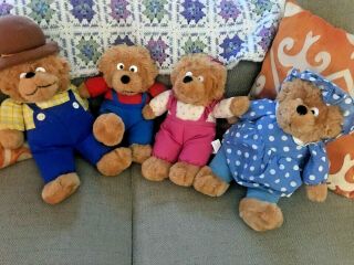 Vtg Berenstain Bears Plush Set 1993 Mama,  Papa,  Bro/sister Bear Animals