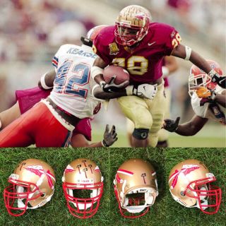 Mid 1990s Florida State Seminoles Game Schutt Pro Air Ii Football Helmet