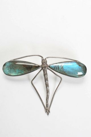 Thomas L Mott Vintage Sterling Silver Abalone Dragonfly Brooch
