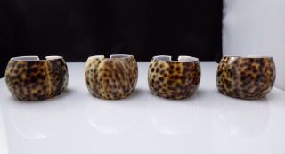Vintage Tiger Cowrie Sea Shell Napkin Rings Holders Set 4 Spotted Philippines