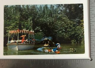 Vintage Postcard Jungle River Cruise Disneyland Anaheim California