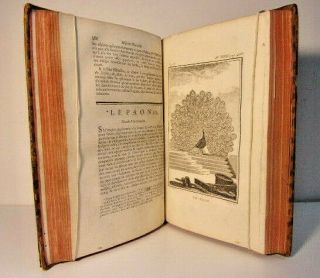 1775.  Comte De Buffon.  Histoire Naturelle Des Oiseaux.  26 Planches