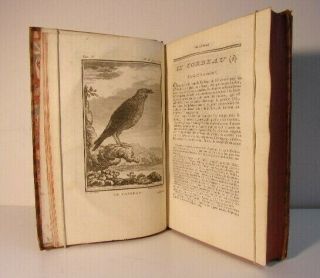1775.  Comte De Buffon.  Histoire Naturelle Des Oiseaux.  30 Planches