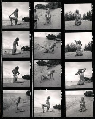 50s Bunny Yeager Pin - Up Contact Sheet 12 Frames Sharon Knight Burlesque Dancer