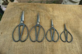 4pc Vintage Japanese Bonsai Tree Pruning Scissors Shears Forged And Signed