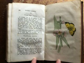 1820 The Family Herbal By Sir John Hill - 54 Hand Coloured Plates